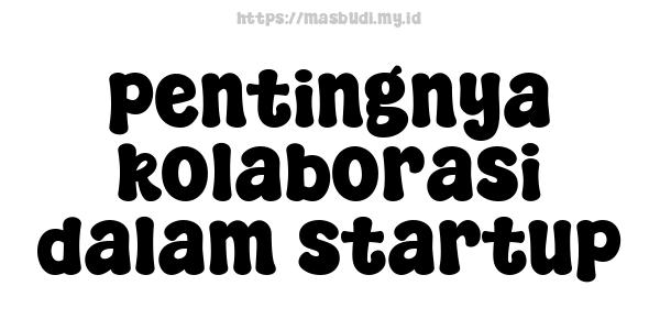 pentingnya kolaborasi dalam startup