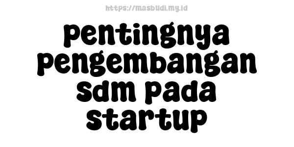 pentingnya pengembangan sdm pada startup