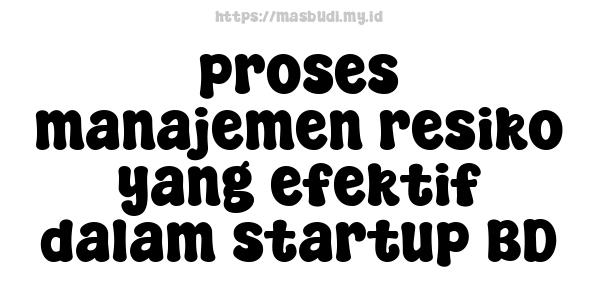 proses manajemen resiko yang efektif dalam startup BD