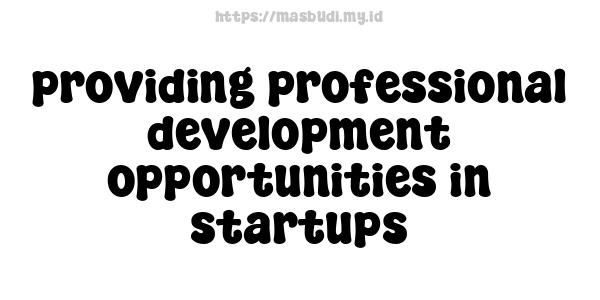 providing professional development opportunities in startups