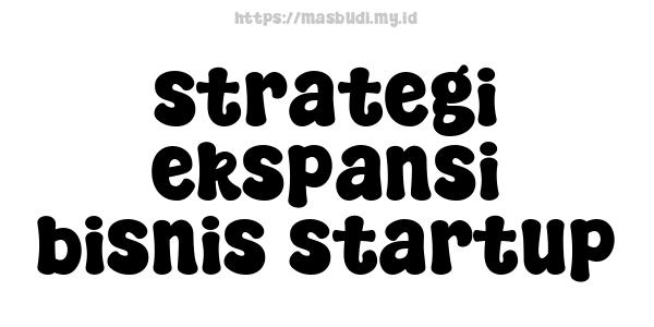 strategi ekspansi bisnis startup