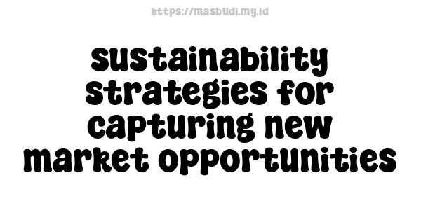 sustainability strategies for capturing new market opportunities