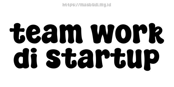 team work di startup