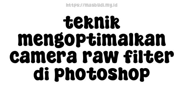 teknik mengoptimalkan camera raw filter di photoshop