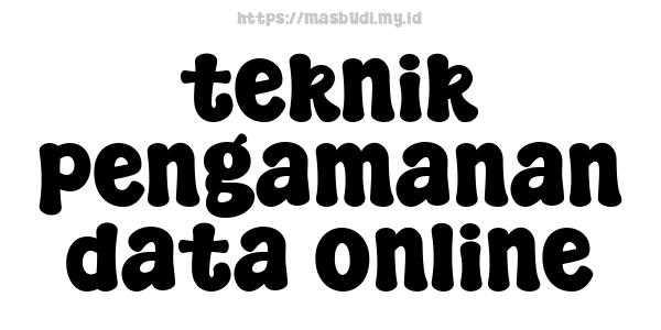 teknik pengamanan data online