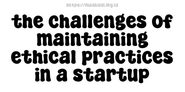 the challenges of maintaining ethical practices in a startup