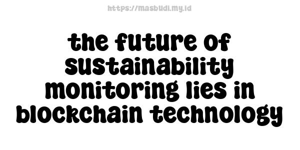 the future of sustainability monitoring lies in blockchain technology