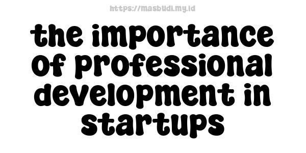 the importance of professional development in startups