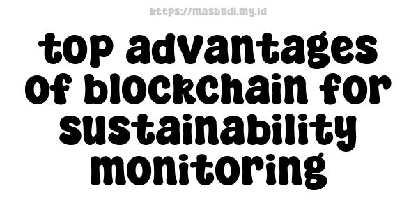 top advantages of blockchain for sustainability monitoring