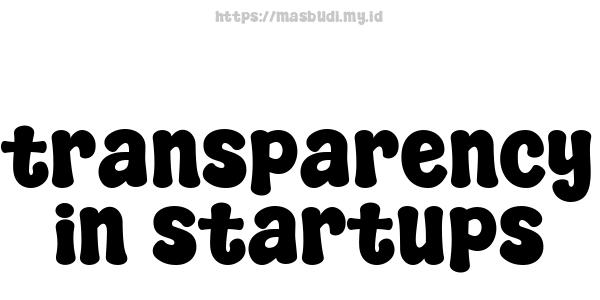 transparency in startups