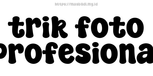 trik foto profesional