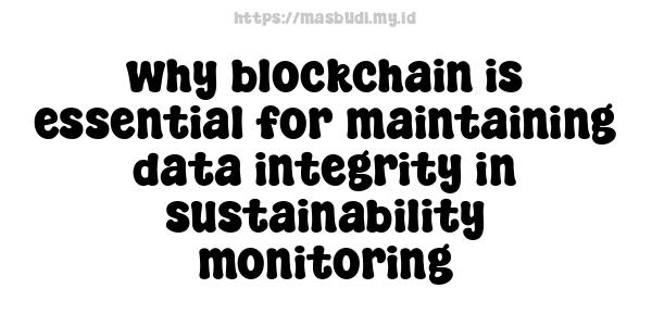 why blockchain is essential for maintaining data integrity in sustainability monitoring