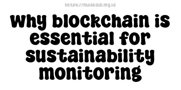 why blockchain is essential for sustainability monitoring