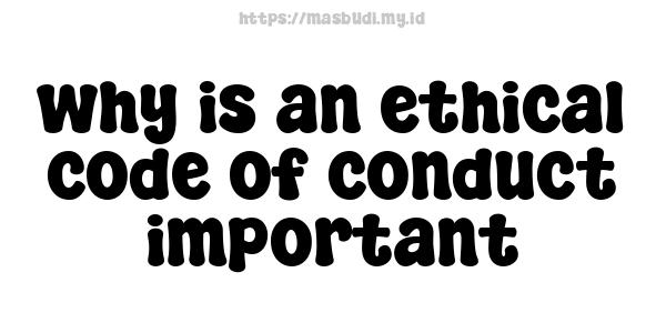 why is an ethical code of conduct important