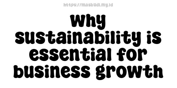 why sustainability is essential for business growth