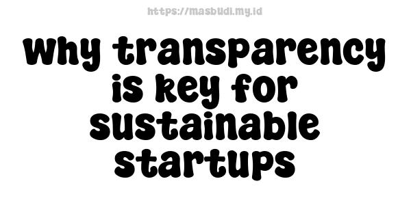 why transparency is key for sustainable startups